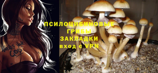 метадон Алзамай