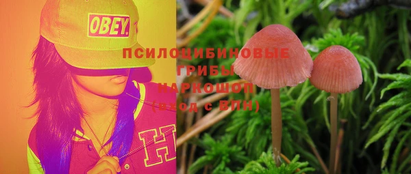 экстази Алексин