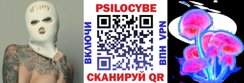 Псилоцибиновые грибы Cubensis  купить   Сухой Лог 