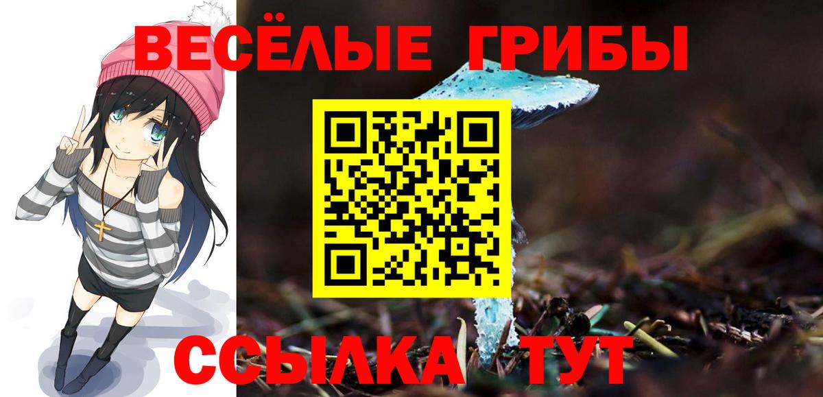 Псилоцибиновые грибы Psilocybine cubensis  Вход с VPN  Сухой Лог 